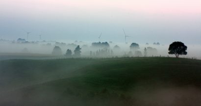 Suwałki, Polska - farma wiatrowa w tle. Fot Wojciech Lisinski / Shutterstock