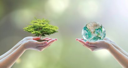 Środowisko, ekologia, klimat. Fot. Shutterstock