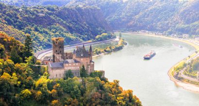 Ren. Fot. Shutterstock