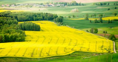 Średnie wynagrodzenie w Polsce, Fot. Shutterstock.com