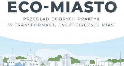 Eco-miasta - raport 300Research