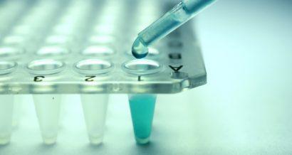 Komórki macierzyste, nauka, laboratorium, próbki. Fot. Shutterstock