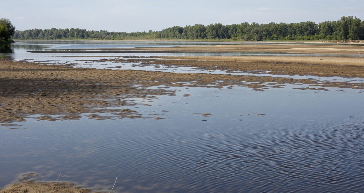 Wysychająca Wisła w centralnej Polsce podczas suszy, fot. Shutterstock.