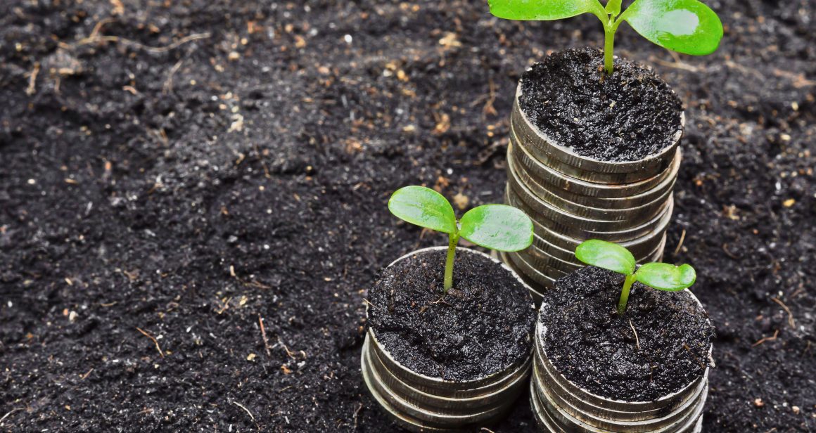 Finanse i ekologia, fot. Shutterstock.