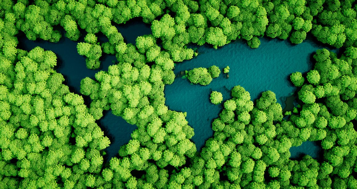 zrównoważony rozwój, fot. Shutterstock