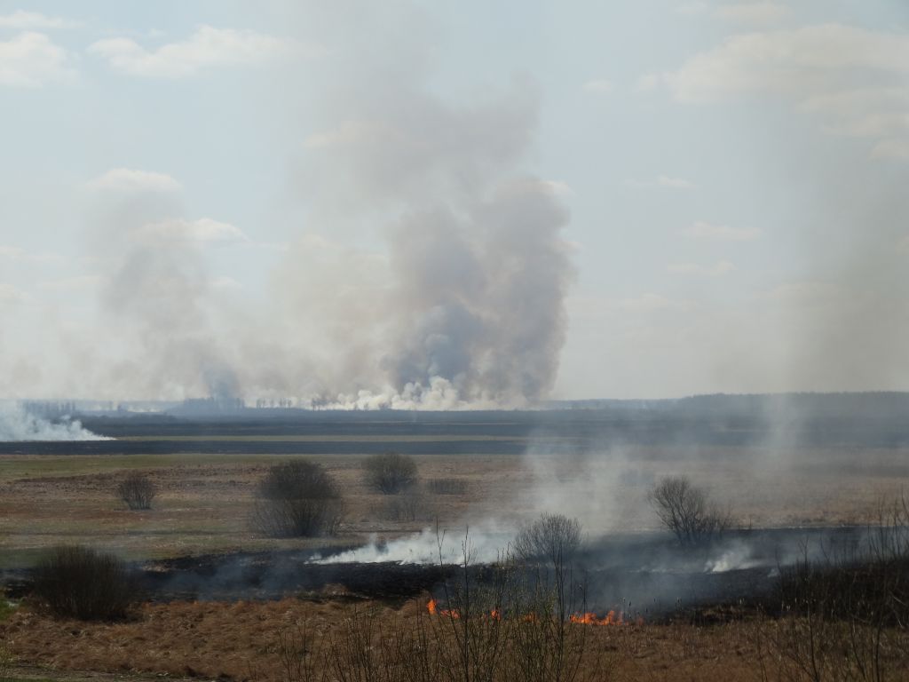 Pożar w Biebrzańskim Parku Narodowym, fot. A. Wiatr, biebrza.org