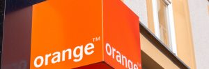 orange / shutterstock.com