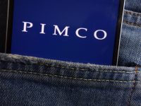 Pimco / Shutterstock.com