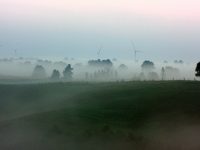 Suwałki, Polska - farma wiatrowa w tle. Fot Wojciech Lisinski / Shutterstock