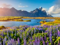Islandia. Fot. Shutterstock