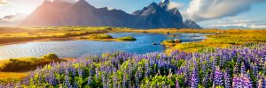Islandia. Fot. Shutterstock