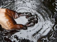 Ropa naftowa, Fot. Shutterstock.com