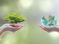 Środowisko, ekologia, klimat. Fot. Shutterstock