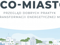 Eco-miasta - raport 300Research