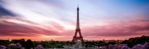 Paryż, Francja. Fot. Shutterstock