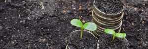 Finanse i ekologia, fot. Shutterstock.
