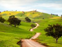 krajobraz wiejski, fot. Shutterstock