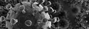 pandemia koronawirusa, fot. shutterstock.