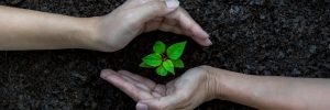 Ekologia, zmiany klimatu, ochrona środowiska, fot. Shutterstock.