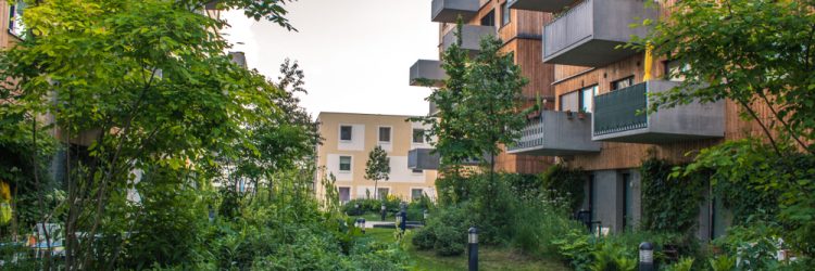 Aspern Seestadt, Wiedeń, fot. Alena Salanovich, Shutterstock