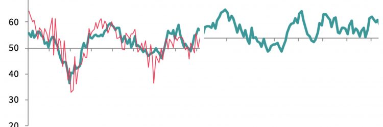 Wykresy PMI, fot. IHS Markit.