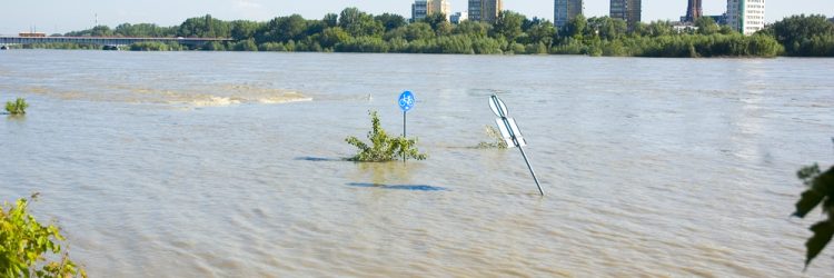Wysoki poziom wody w Wiśle w okolicach Warszawy, fot. Shutterstock.
