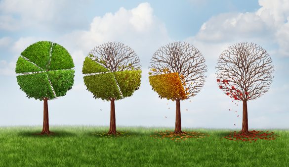 Klimat, finanse. Fot. Shutterstock