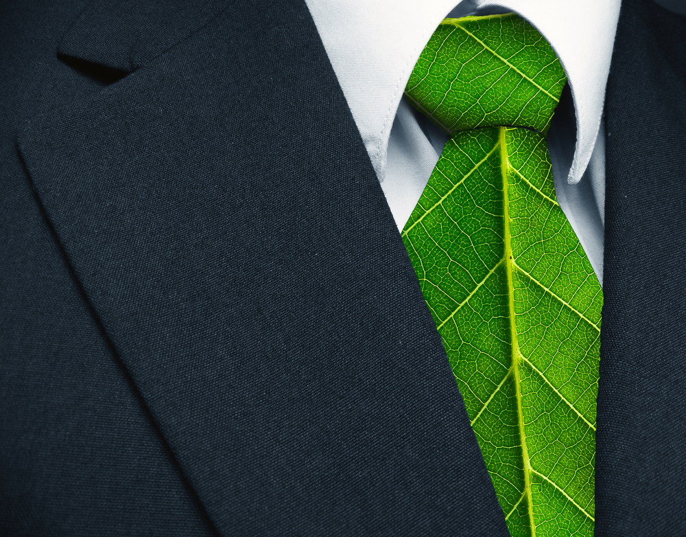 Ekologia, biznes, zielony biznes, fot. Shutterstock.