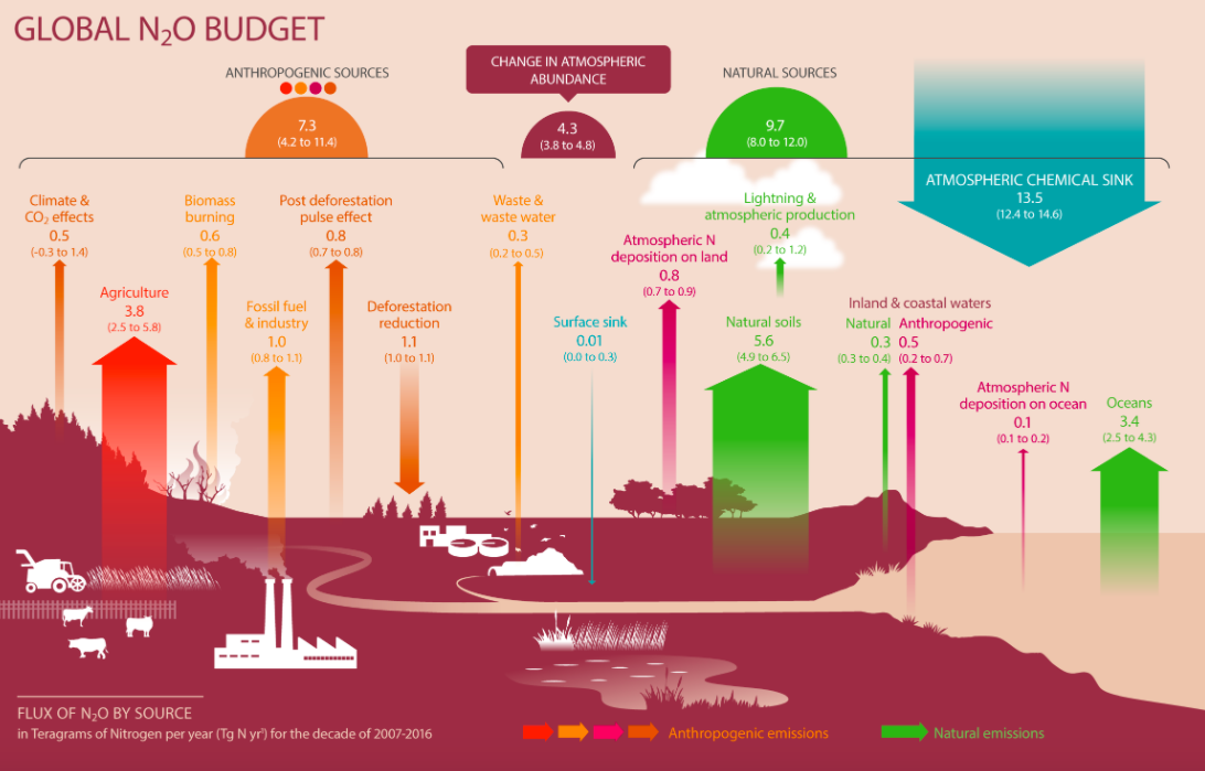 Schemat emisji podtlenku azotu i jego pochłaniania, fot. raport Global Carbon Project. 