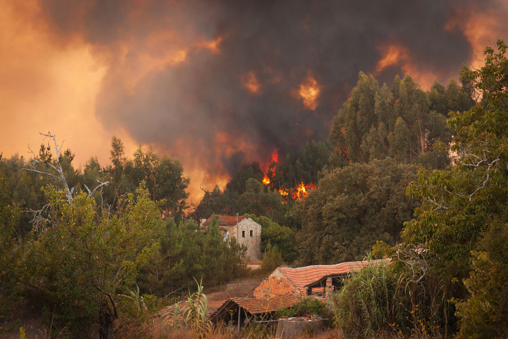 Pożary w Europie, fot. Shutterstock.