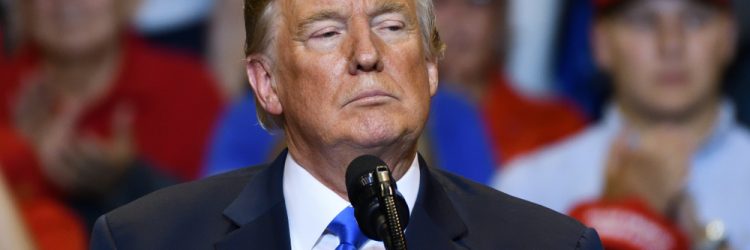 Donald Trump. Fot. Evan El-Amin / Shutterstock.com
