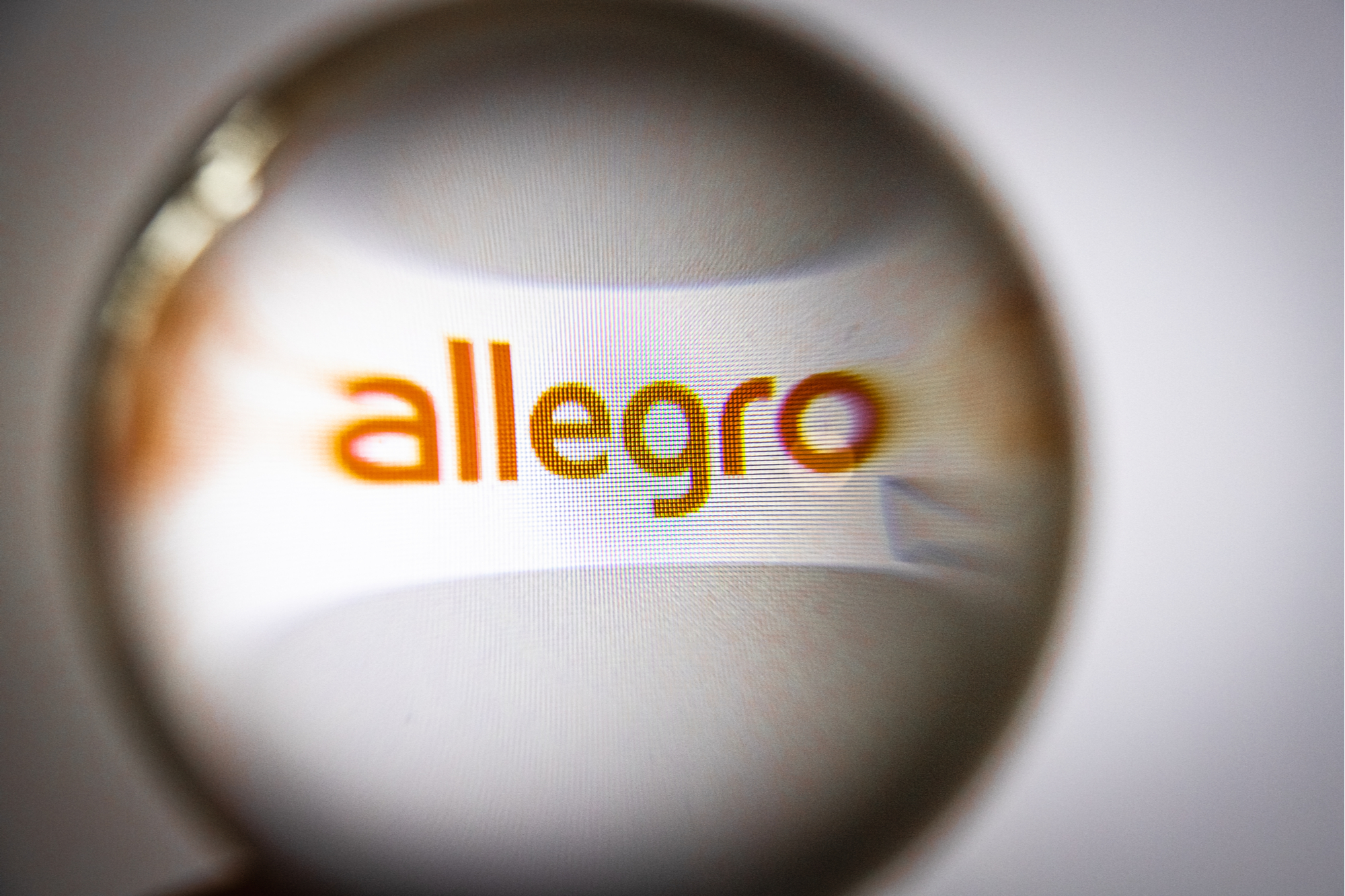 Allegro. Fot. MOZCO Mateusz Szymanski / Shutterstock.com