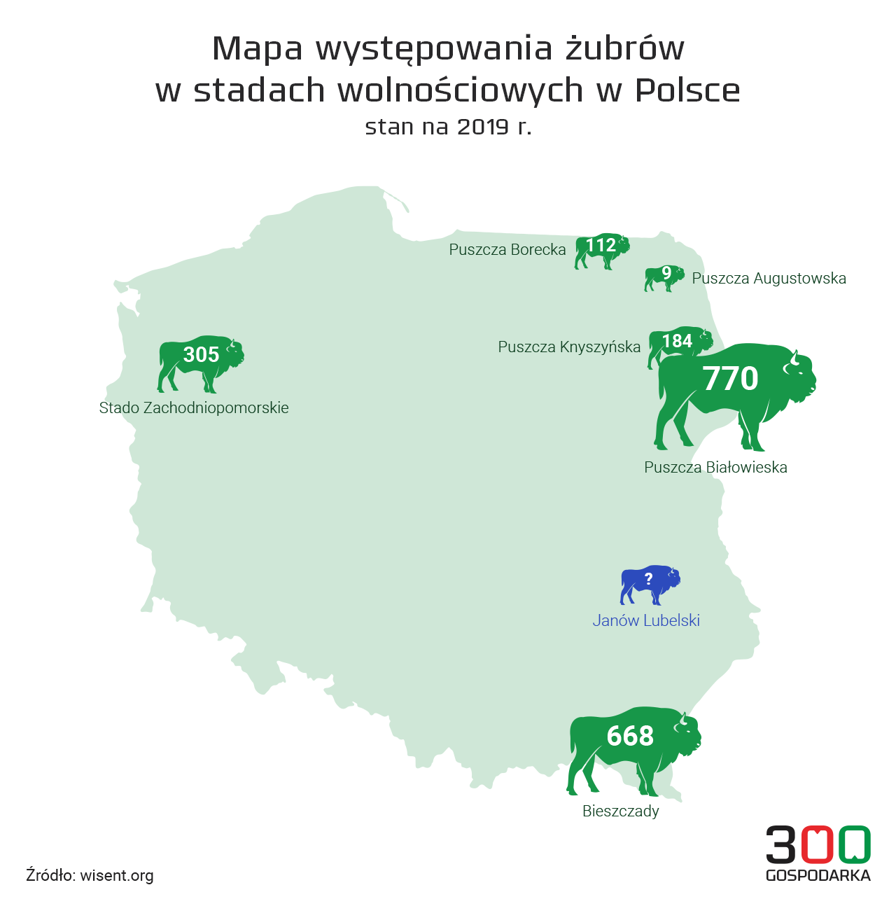 Wolno żyjące stada żubrów w Polsce, 2019, źródło: wisent.org, fot. 300Gospodarka.
