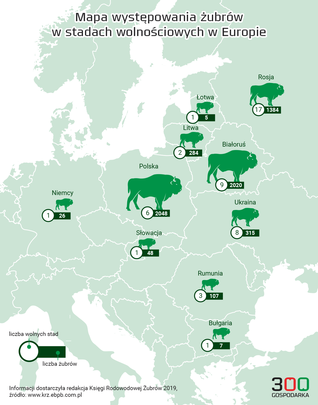 Mapa występowania żubrów w stadach wolnościowych w Europie, źródło: Księga Rodowodowa Żubrów 2019, grafika: 300Gospodarka.