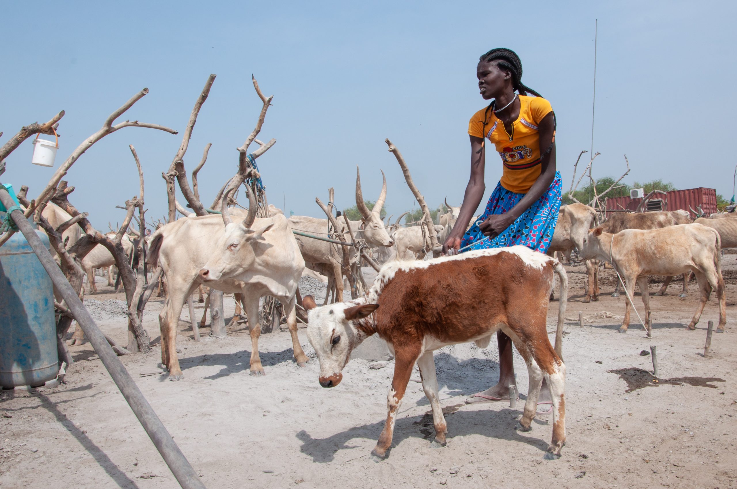 Rolnictwo w Sudanie Południowym, fot. materiały Polskiej Akcji Humanitarnej.
