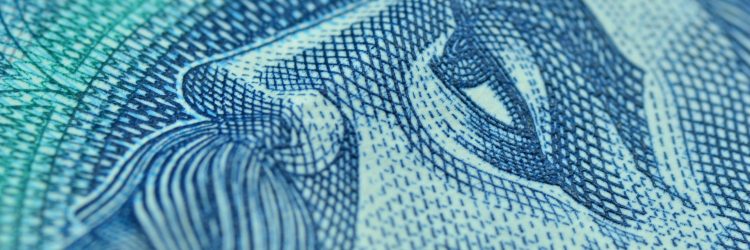 Polska waluta złoty. Fot. Shutterstock