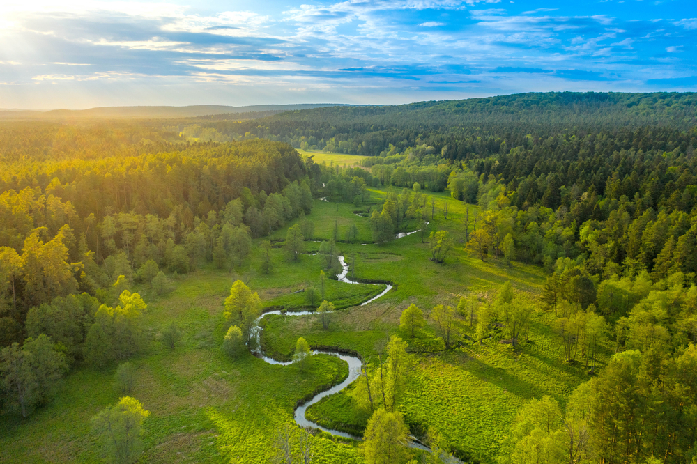 Rzeka Wieprz, Roztocze, fot. Shutterstock.