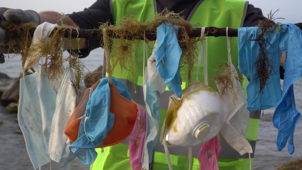 maseczki, odpady medyczne sprzątane na wybrzeżu przez wolontariusza, fot. Shutterstock.