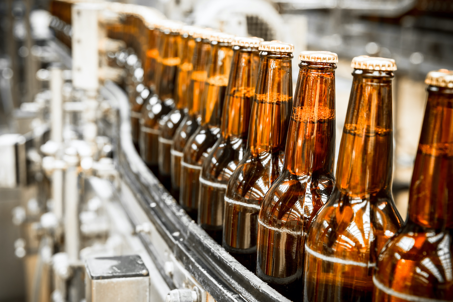 Produkcja przemysłowa piwa, zdj. poglądowe, fot. Shutterstock.com