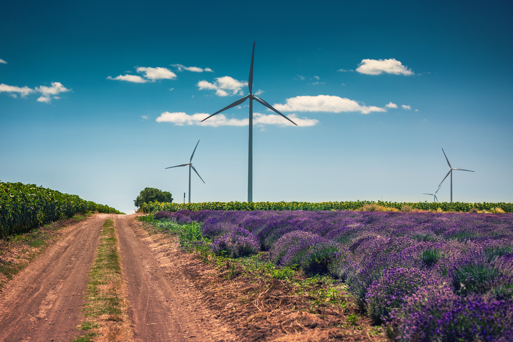 Wind turbines in a lavender field, fot. ShutterStock