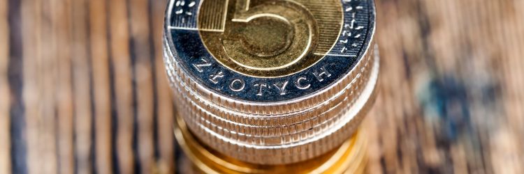 Polski złoty. Fot. Shutterstock