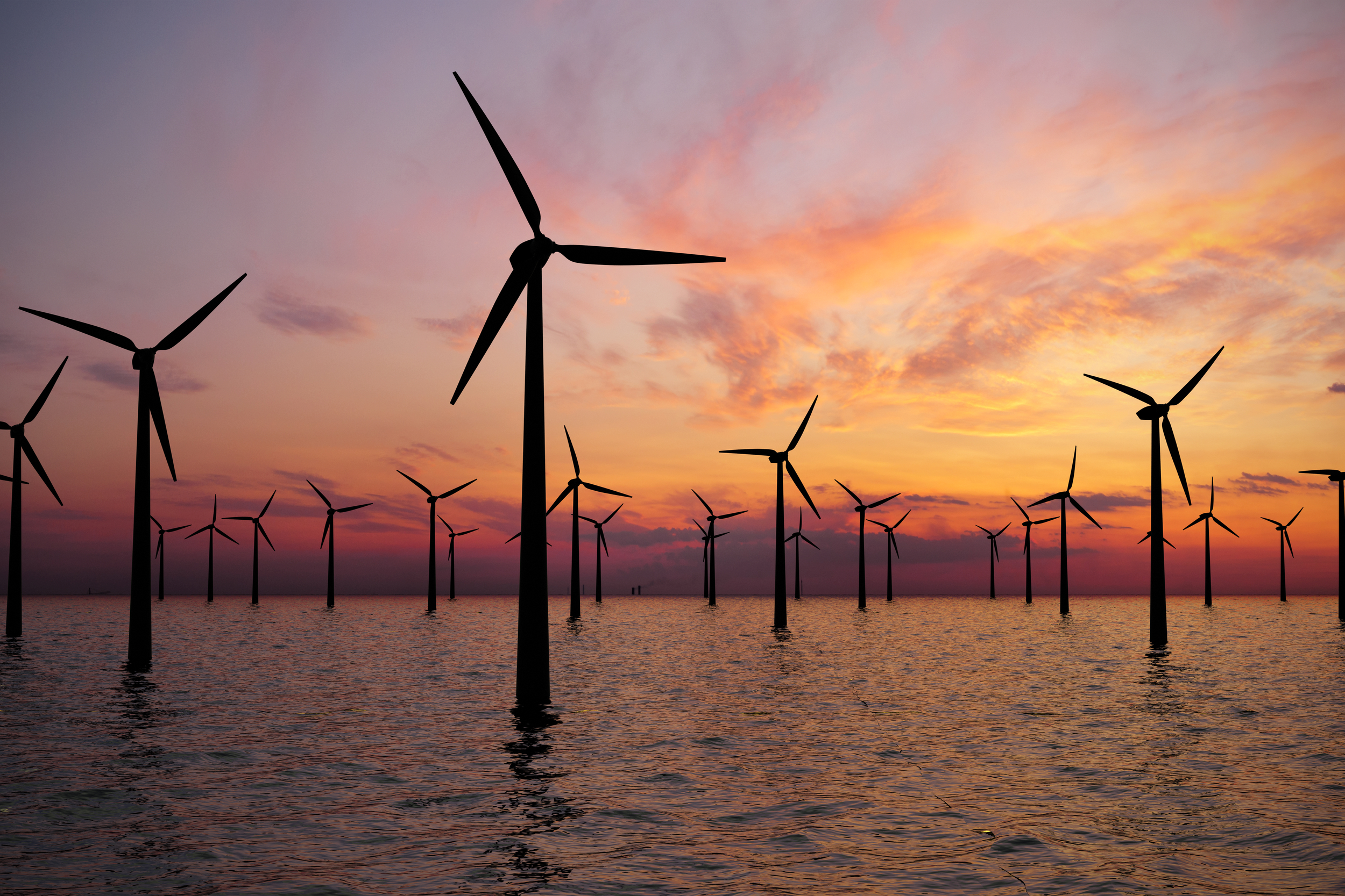 farma wiatrowa na morzu, offshore, OZE fot. Shutterstock