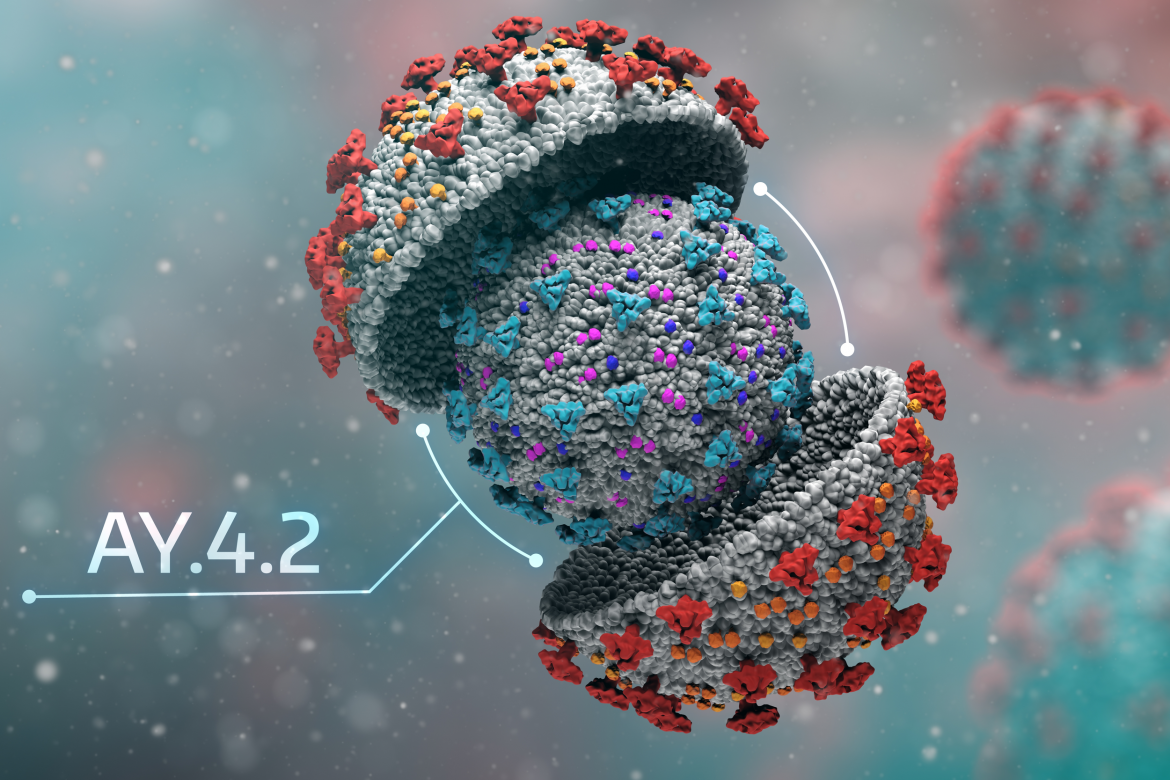 subwariant AY.4.2, Covid-19, fot. Shutterstock