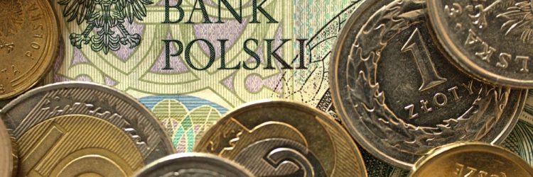 Polski banknot z onaczeniem NBP, fot. Adam J-ta / Shutterstock.com
