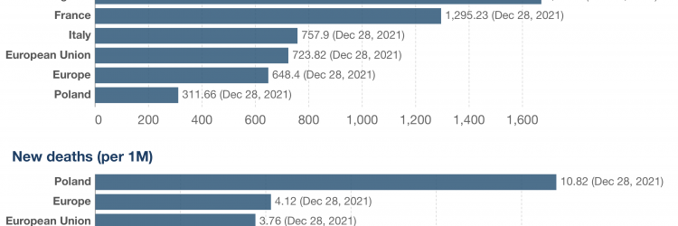 Nowe przypadki i liczba zgonów, źródło Our World in Data