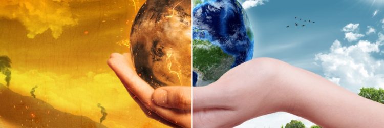 Dwie opowieści na temat walki ze zmianami klimatu (fot. Shutterstock)