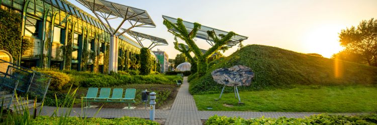 Zielone miasto, BUW, Warszawa, fot. Shutterstock.