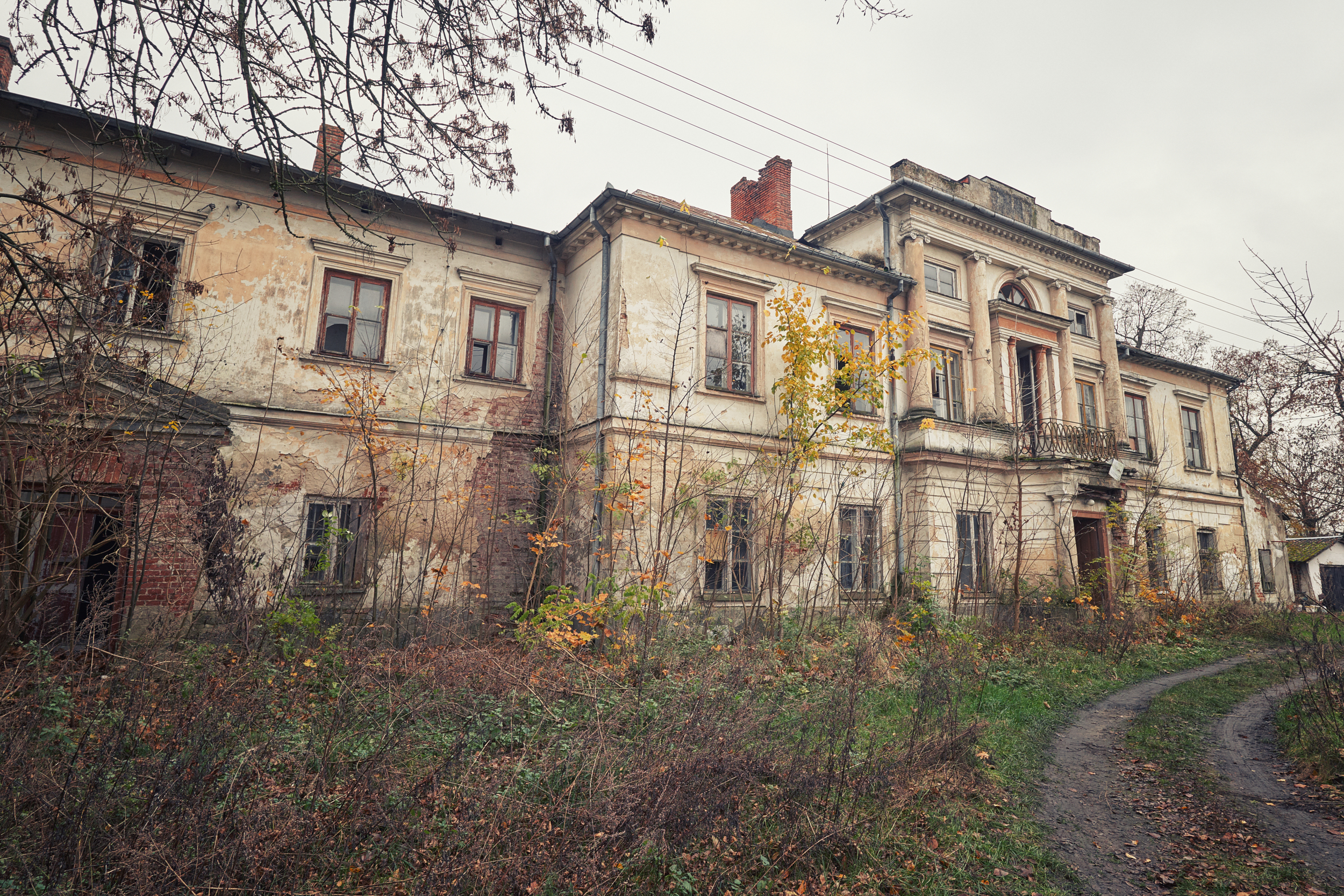 Ruiny Pałacu Kickich z 1825 r., Sobieszyn. Fot. Shutterstock