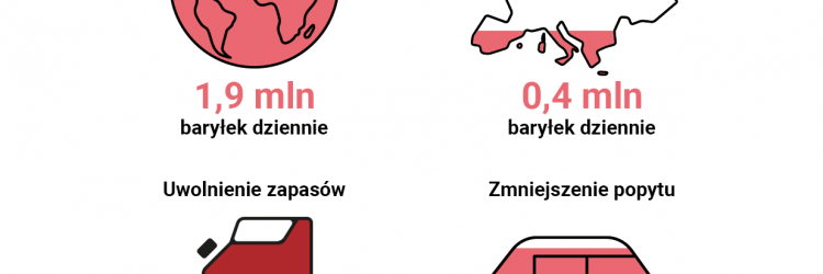 O ile można zmniejszyć zużycie ropy w UE?