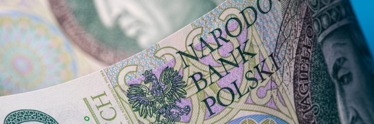 inflacja, polski złoty, stopy procentowe, fot. Shutterstock